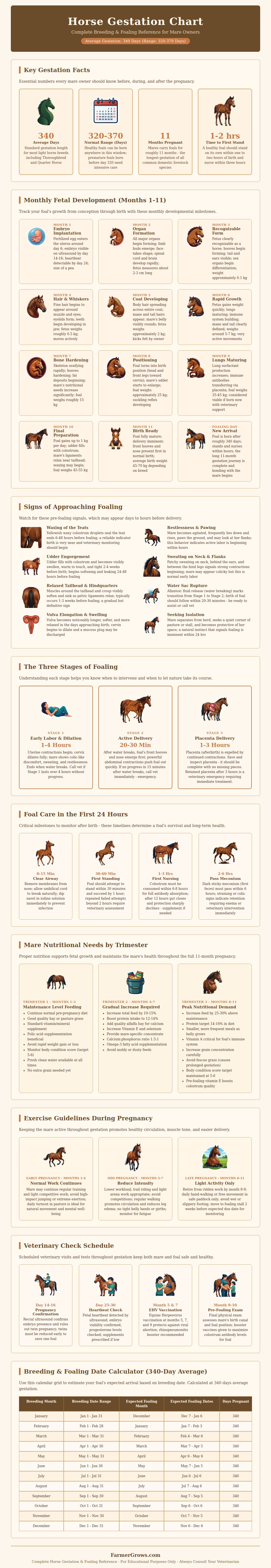 Horse Gestation Chart