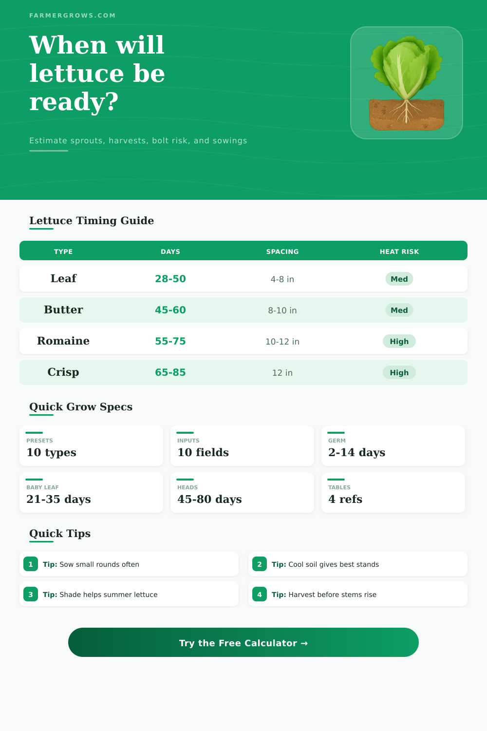 Lettuce Growth Time Calculator