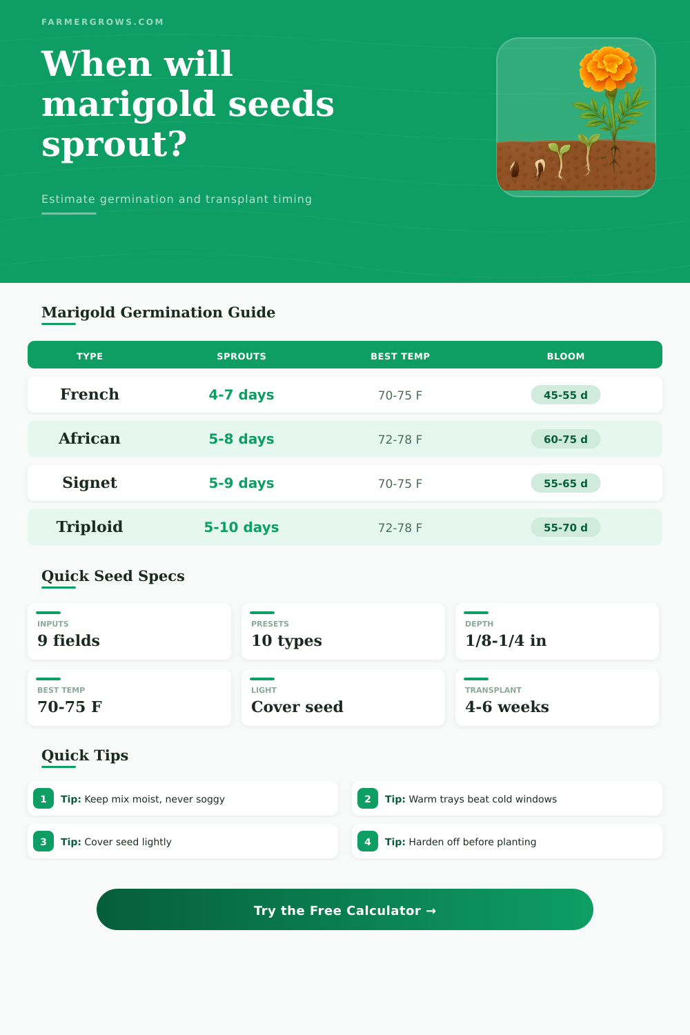 Marigold Seed Germination Time Calculator