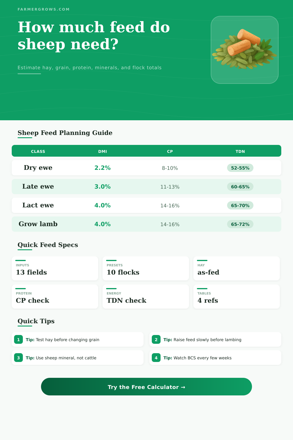 Sheep Feed Calculator for Flock Rations
