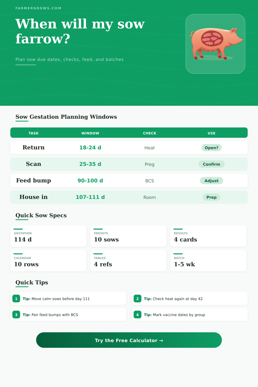 Sow Gestation Calculator for Farrowing Plans