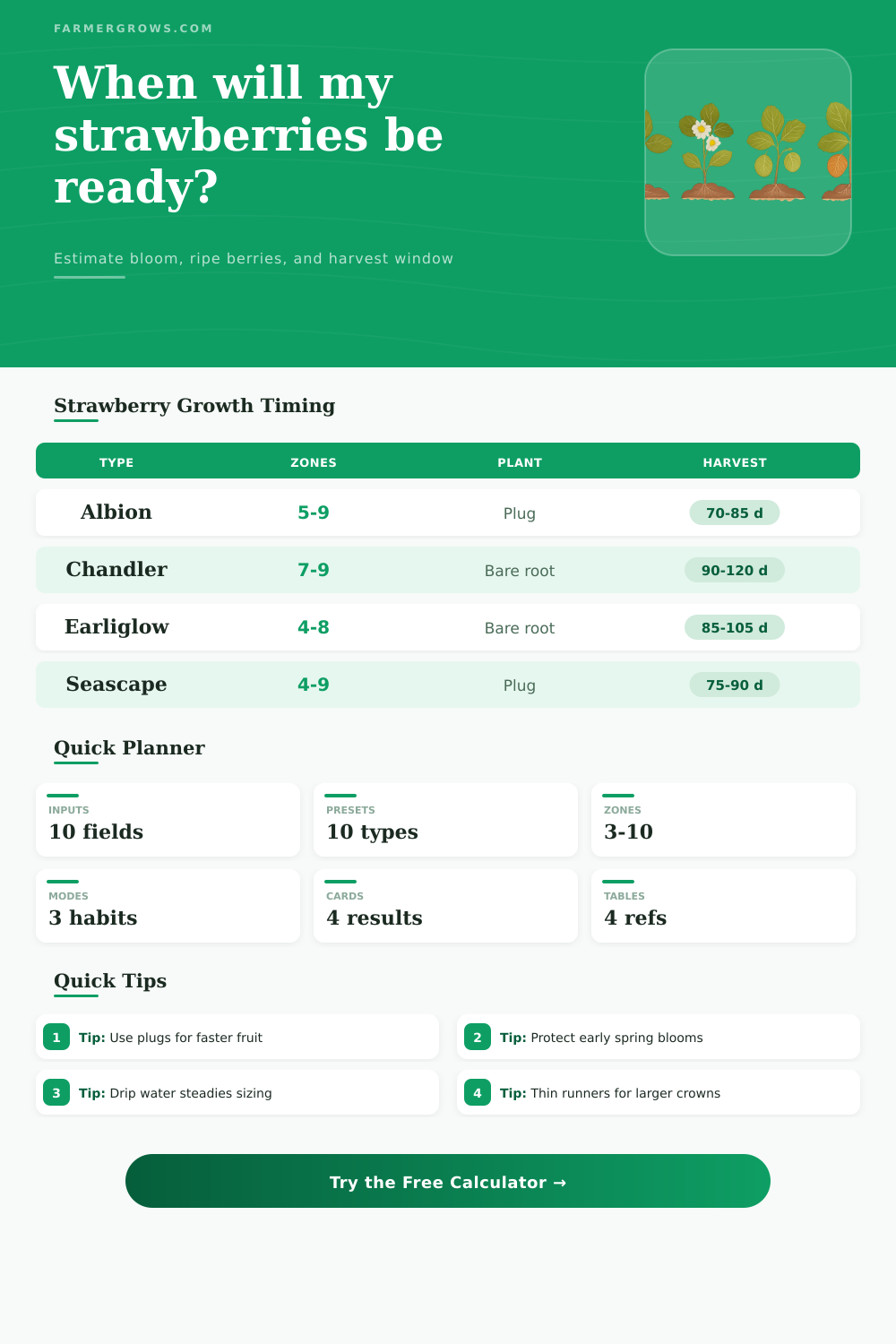 Strawberry Growth Time Calculator