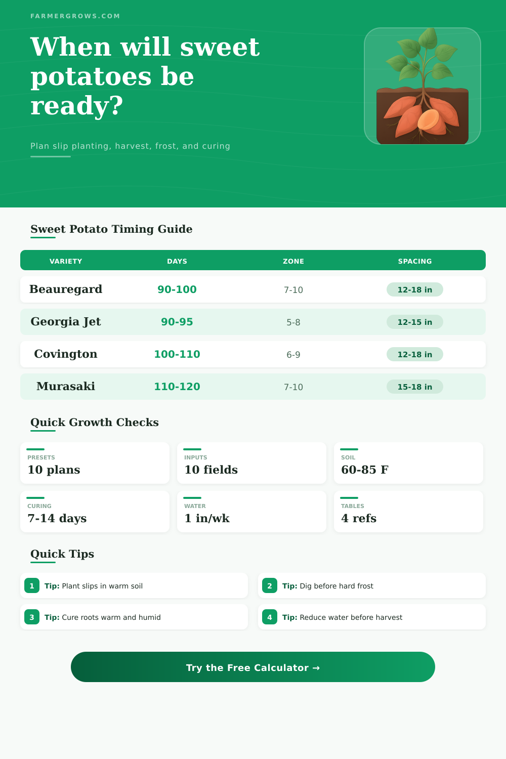 Sweet Potato Growth Time Calculator by Variety