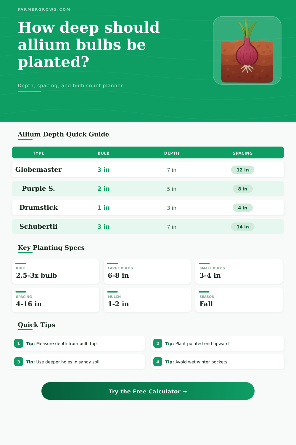 Allium Bulb Planting Depth Calculator