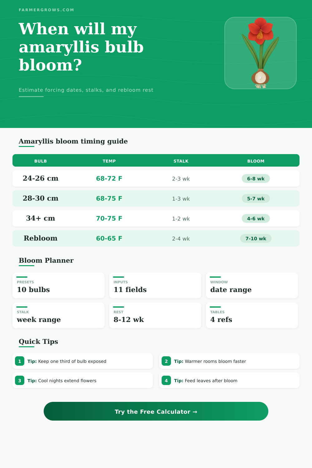 Amaryllis Bulb Bloom Time Calculator