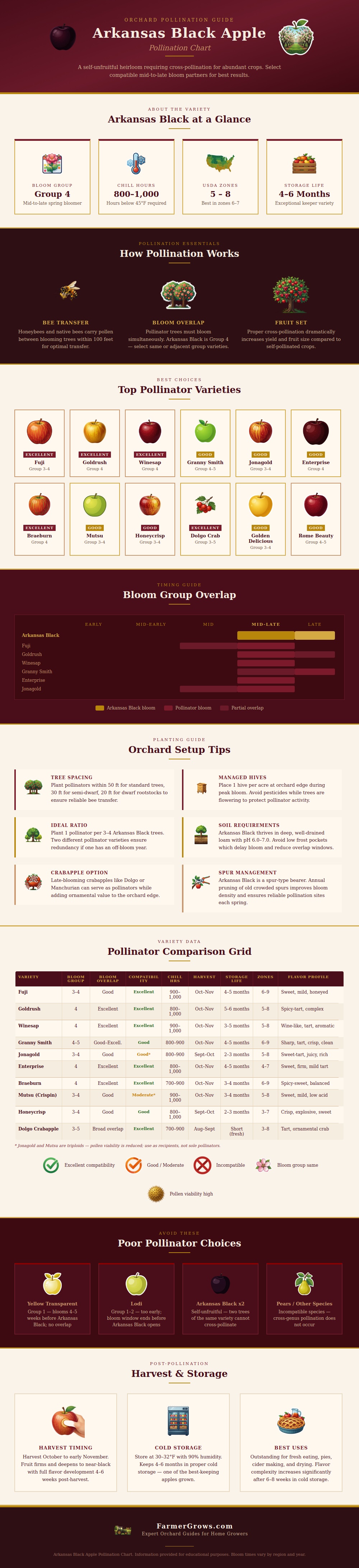 Arkansas Black Apple Pollination Chart
