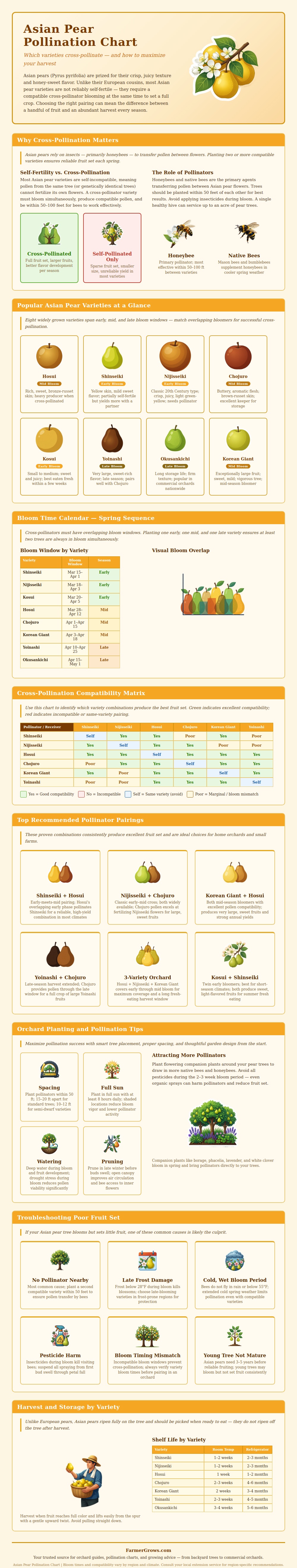 Asian Pear Pollination Chart