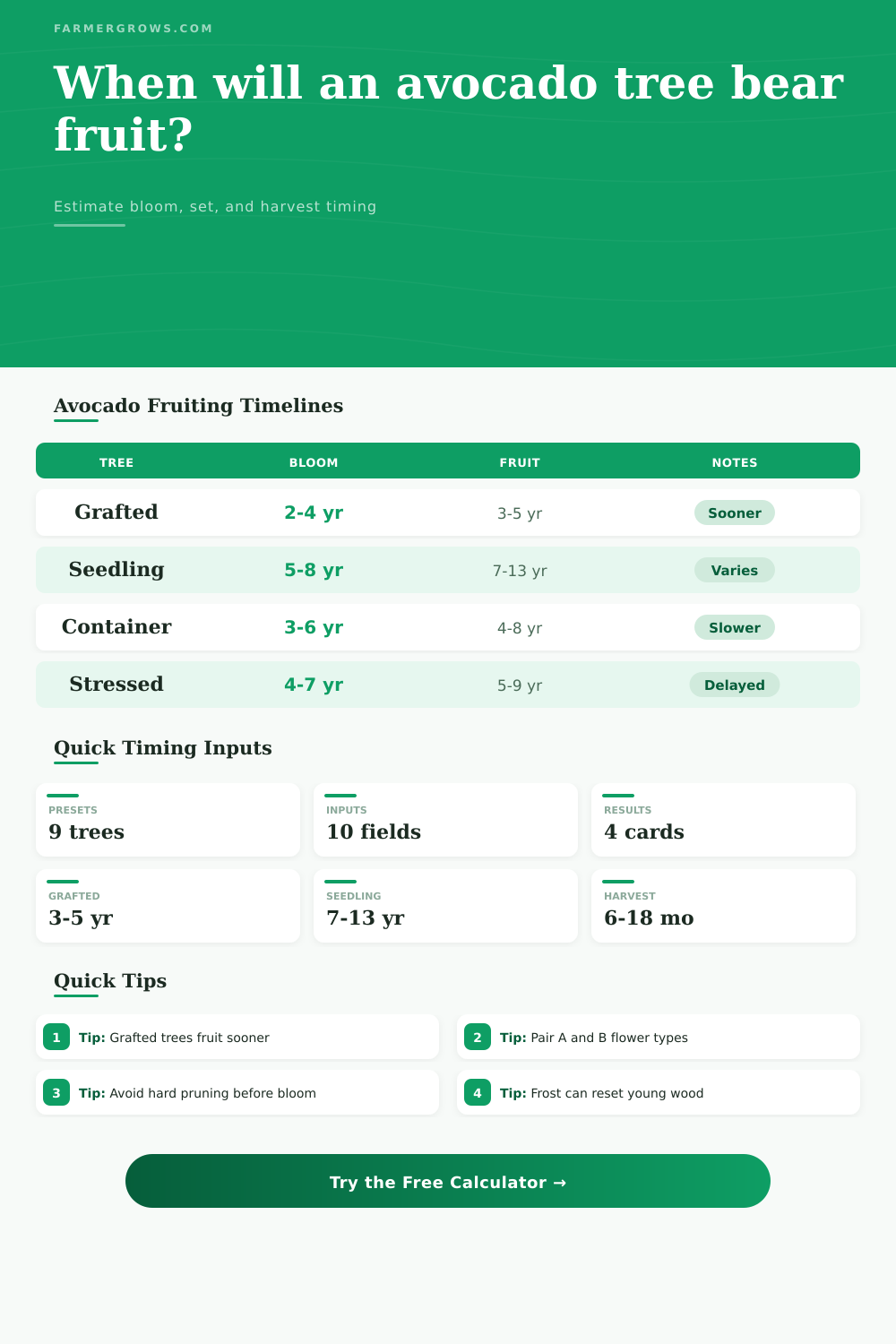 Avocado Tree Time to Bear Fruit Calculator