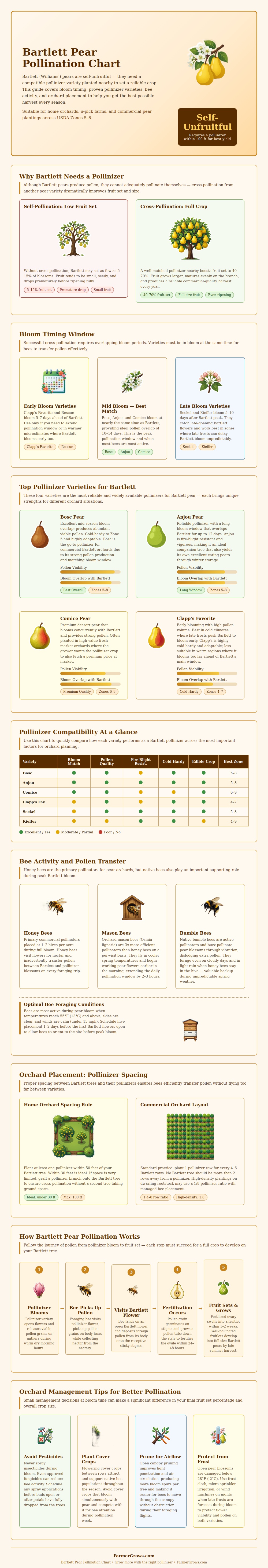 Bartlett Pear Pollination Chart