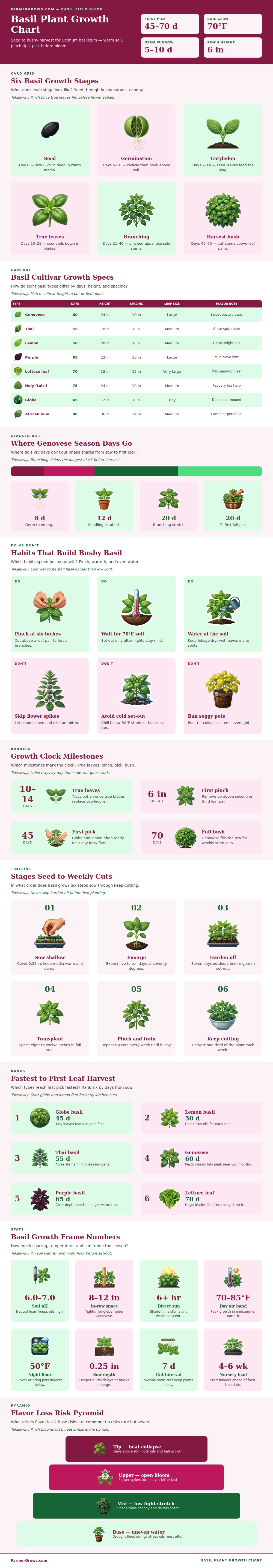 Basil Plant Growth Chart