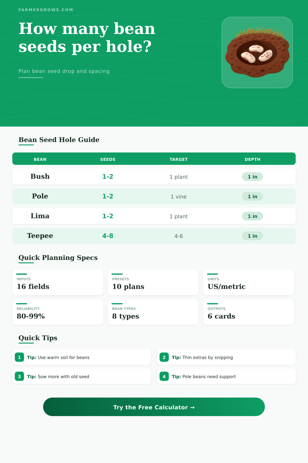 Bean Seeds Per Hole Calculator