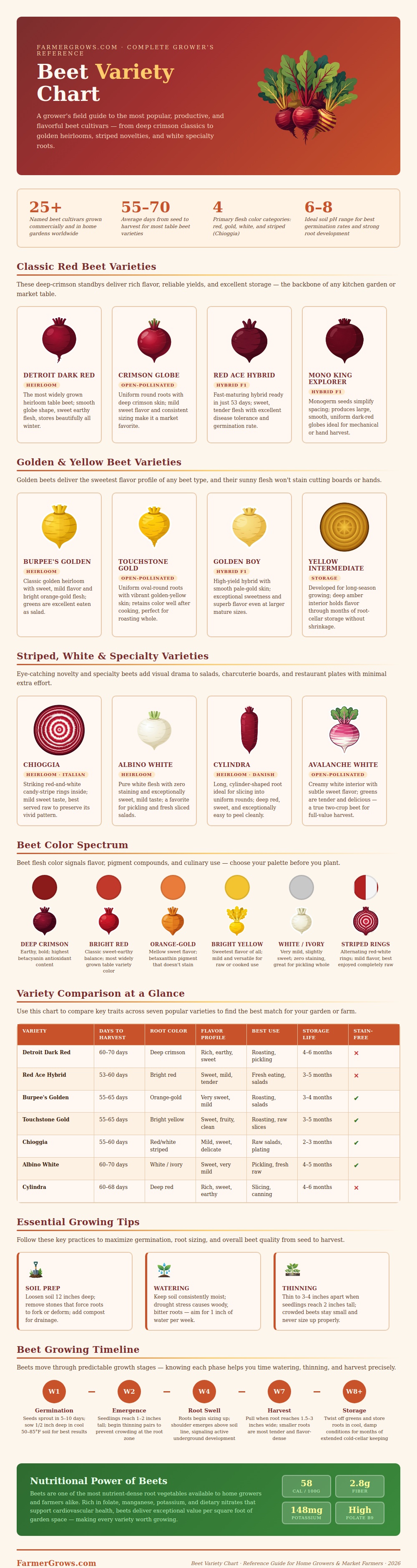 Beet Variety Chart