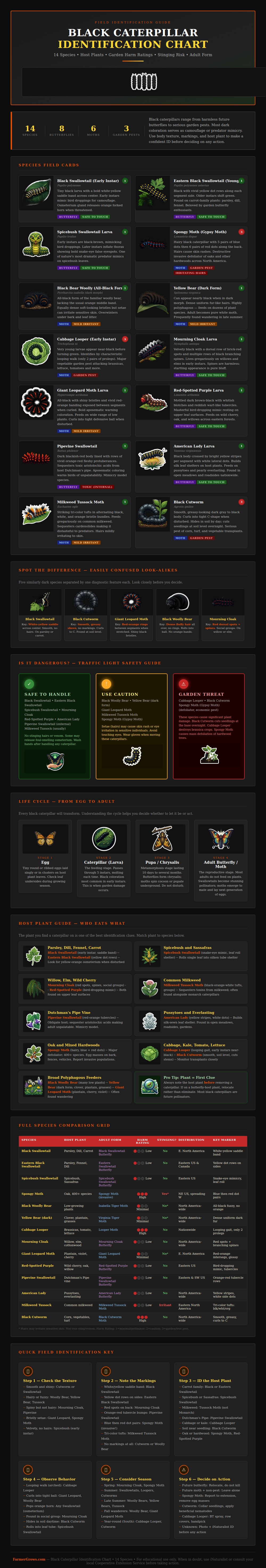 Black Caterpillar Identification Chart