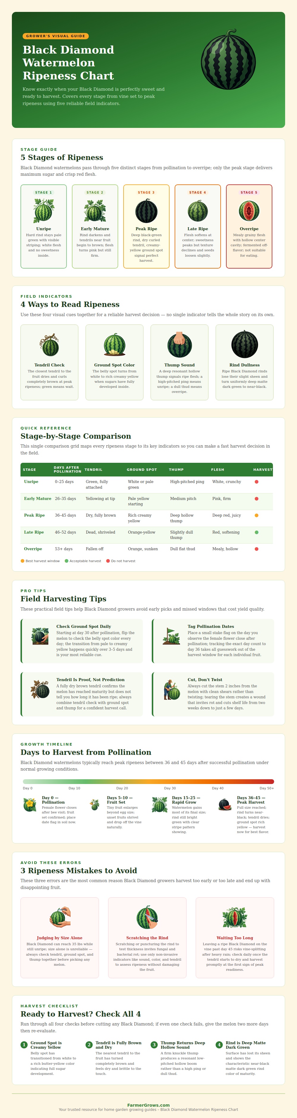 Black Diamond Watermelon Ripeness Chart