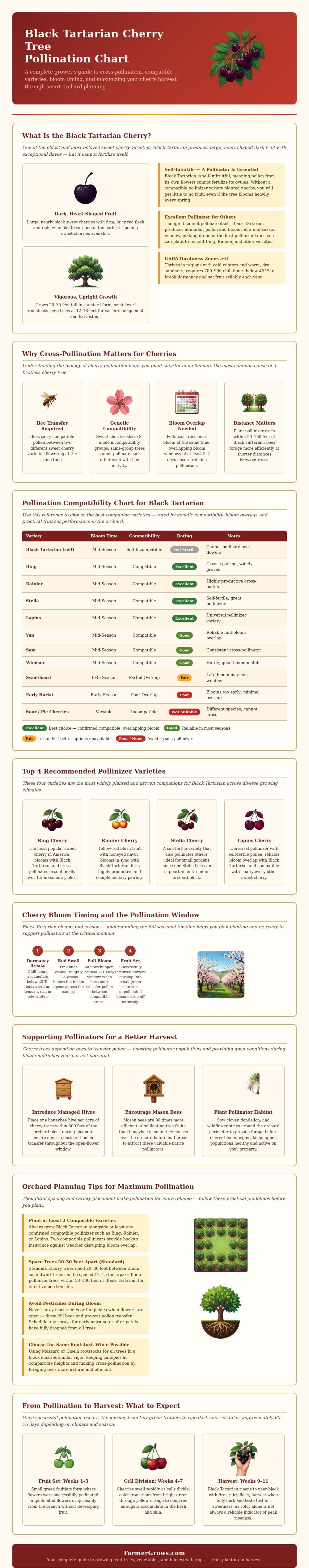 Black Tartarian Cherry Tree Pollination Chart