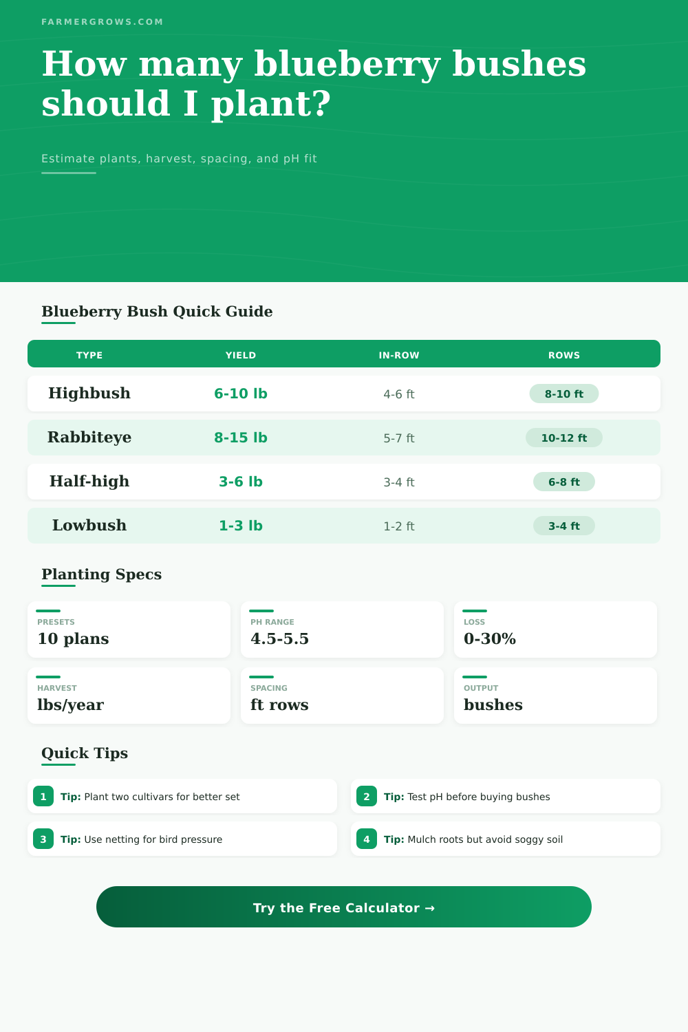 Blueberry Bushes To Plant Calculator