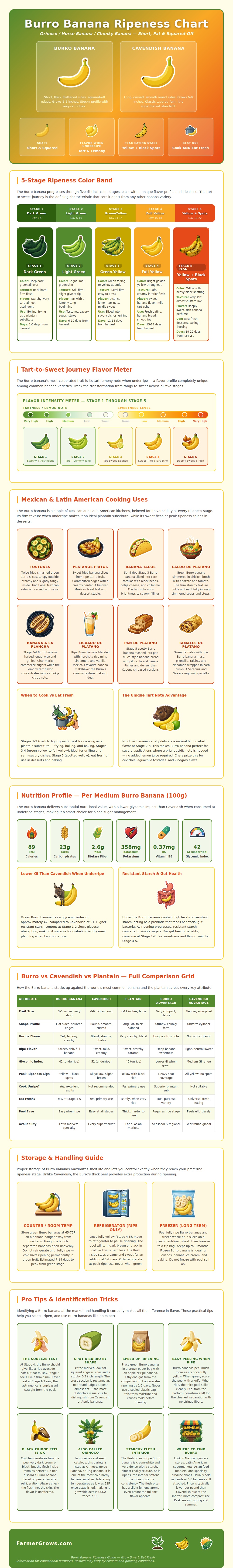 Burro Banana Ripeness Chart