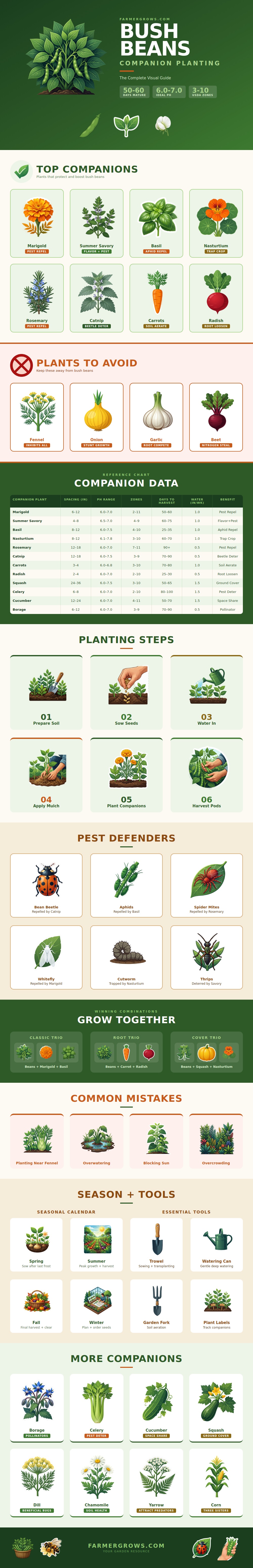 Bush Beans Companion Planting Chart