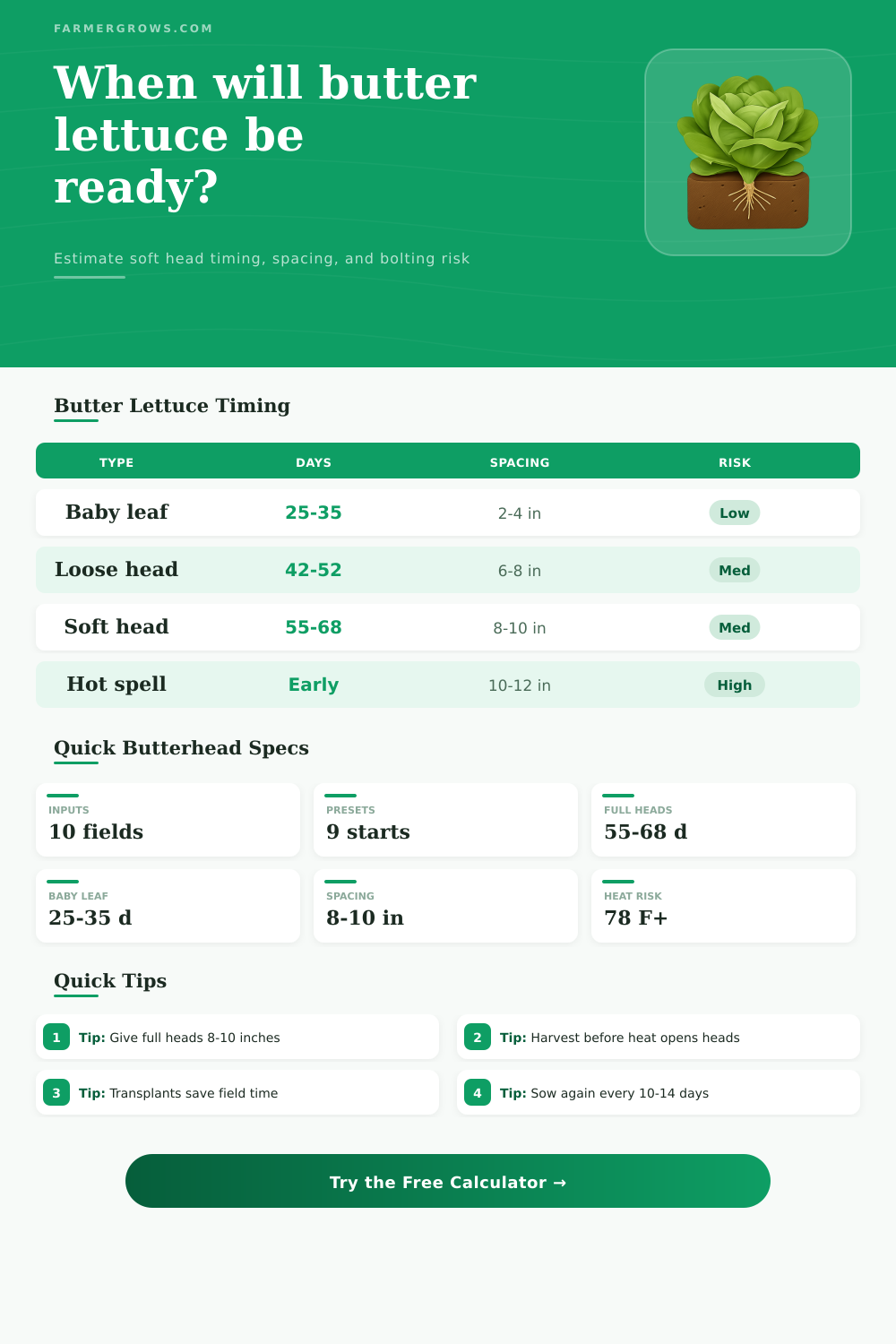 Butter Lettuce Growth Time Calculator