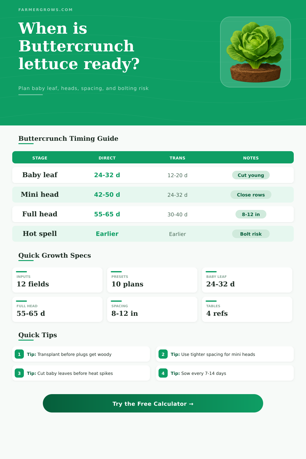 Buttercrunch Lettuce Growth Time Calculator