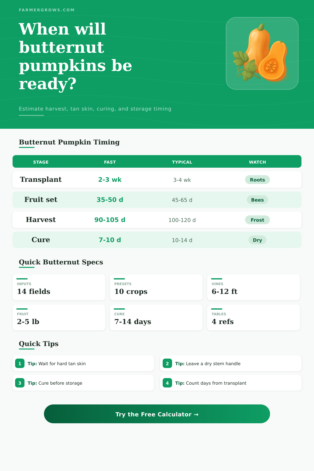 Butternut Pumpkin Growth Time Calculator
