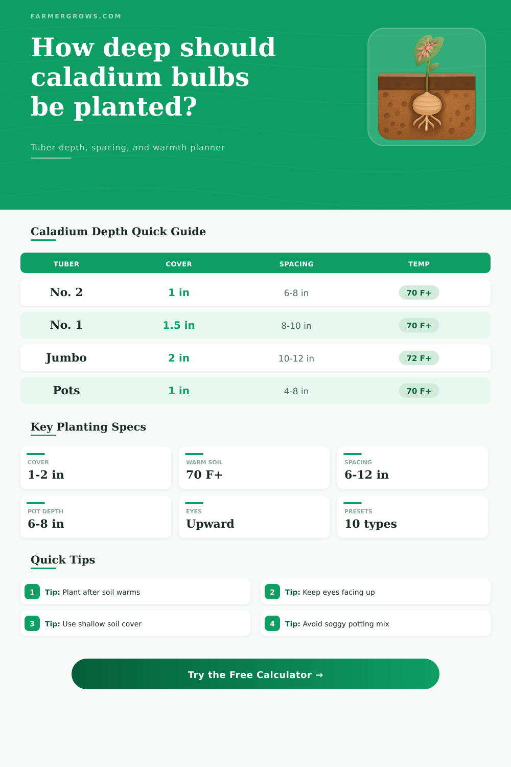 Caladium Bulb Planting Depth Calculator