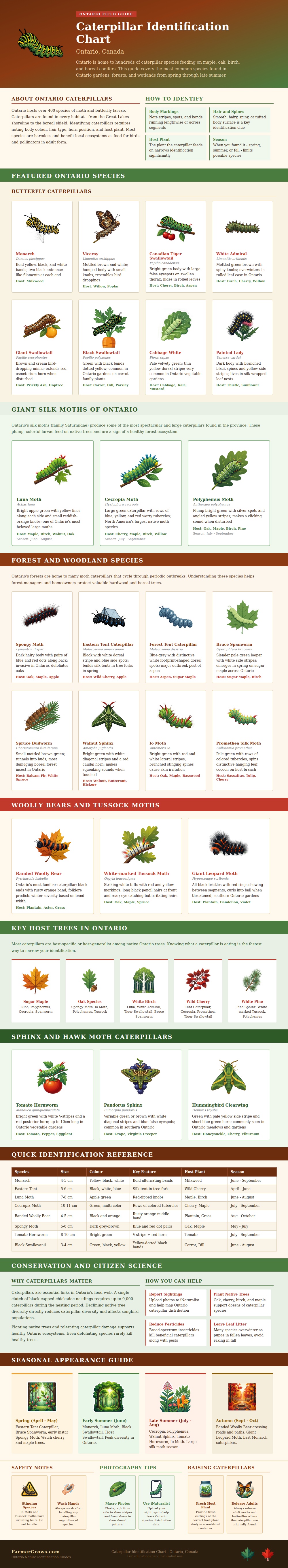 Caterpillar Identification Chart Ontario