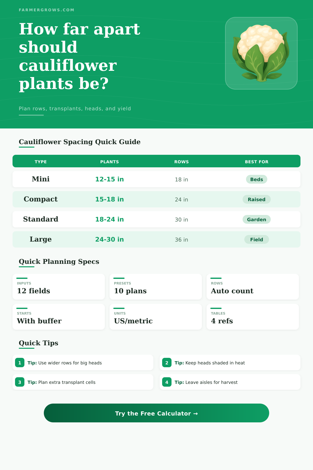 Cauliflower Plant Spacing Calculator for Beds