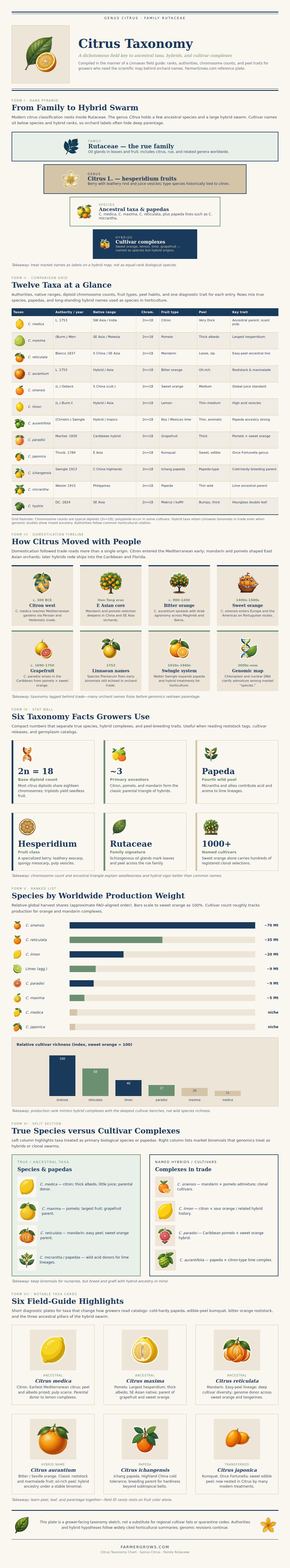 Citrus Taxonomy Chart
