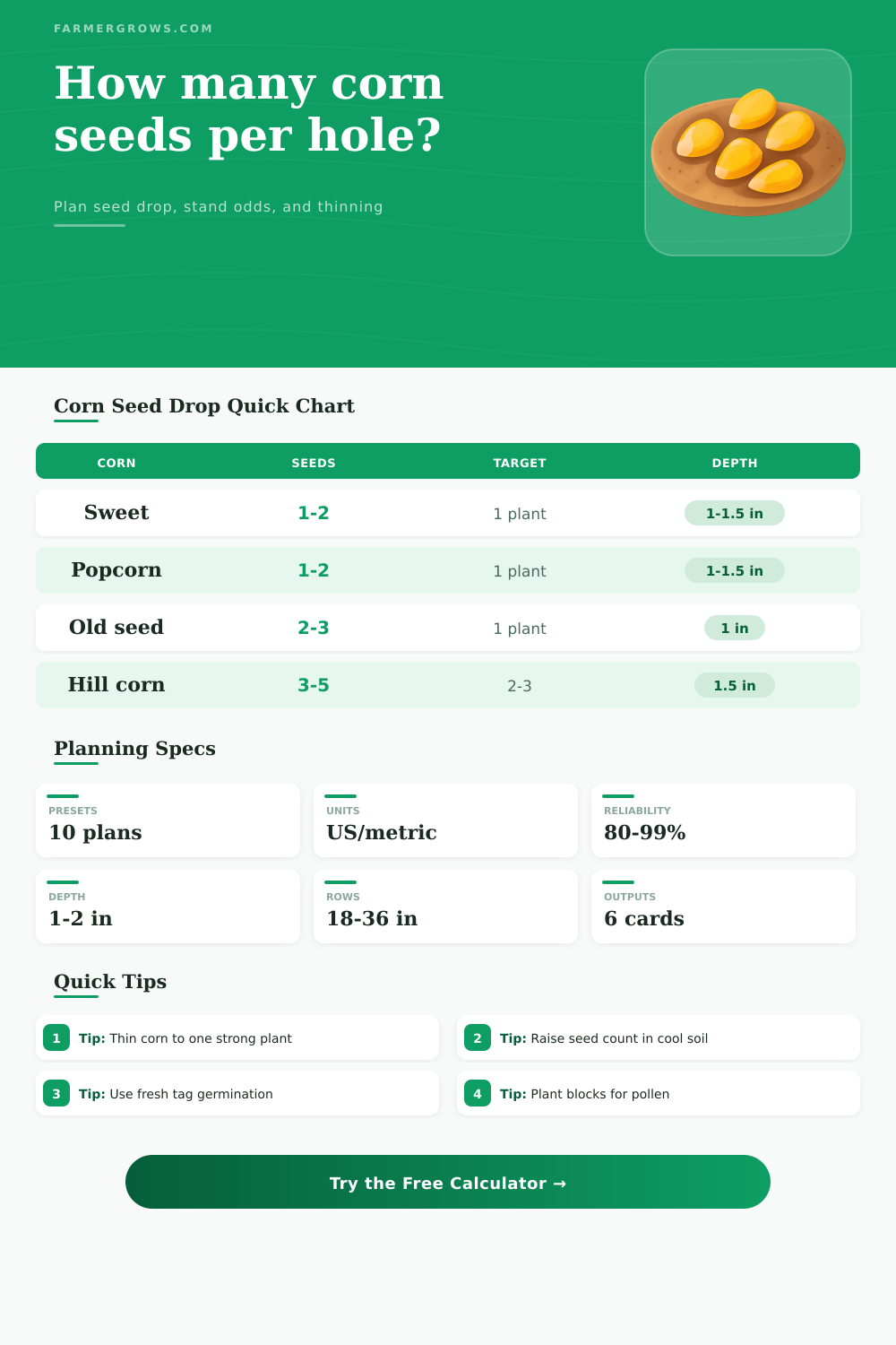 Corn Seeds Per Hole Calculator for Planting