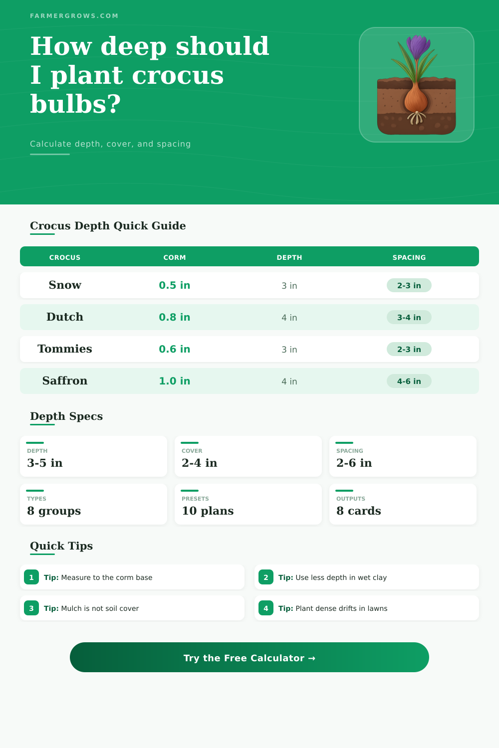 Crocus Bulb Planting Depth Calculator