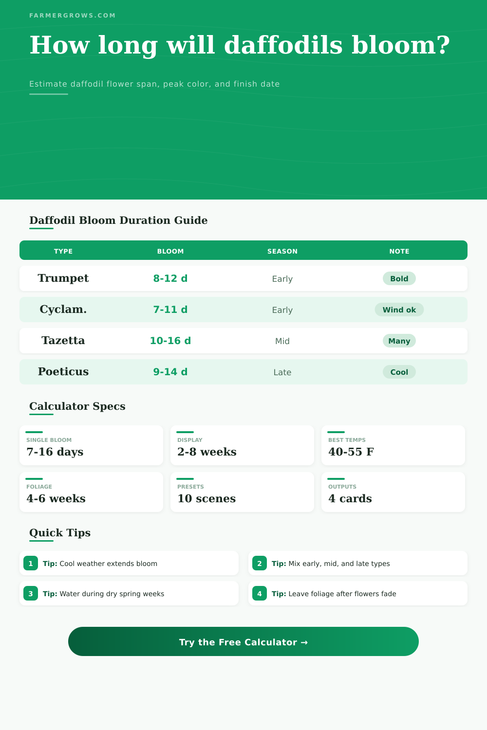 Daffodil Bloom Duration Calculator