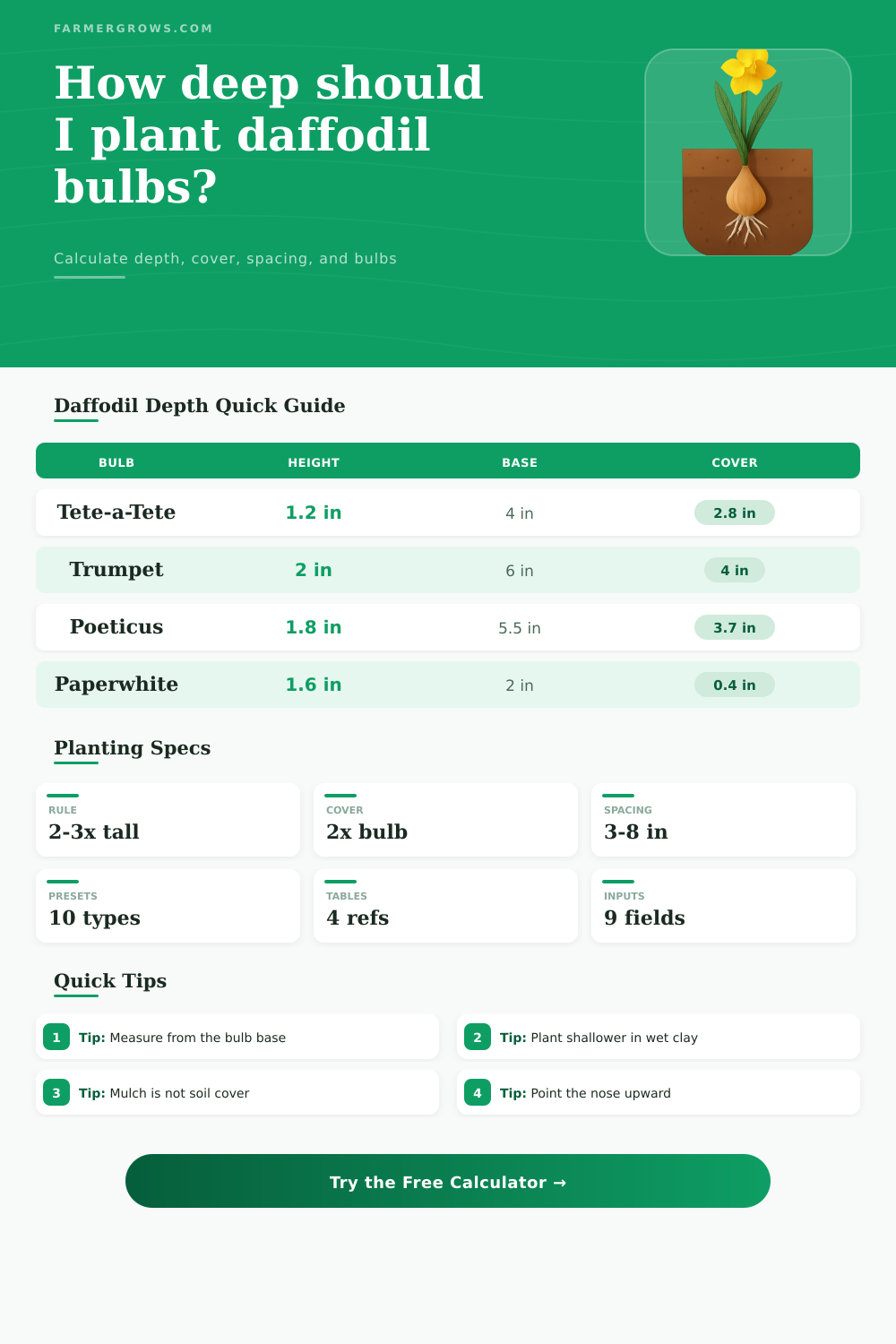 Daffodil Bulb Planting Depth Calculator