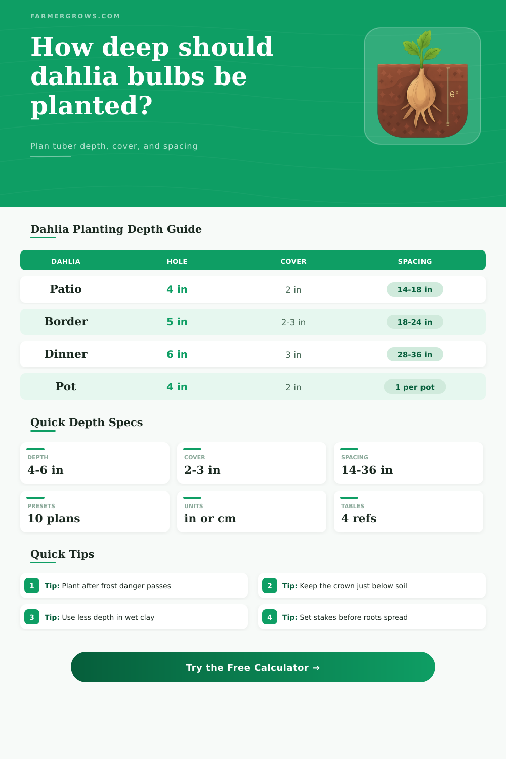 Dahlia Bulb Planting Depth Calculator