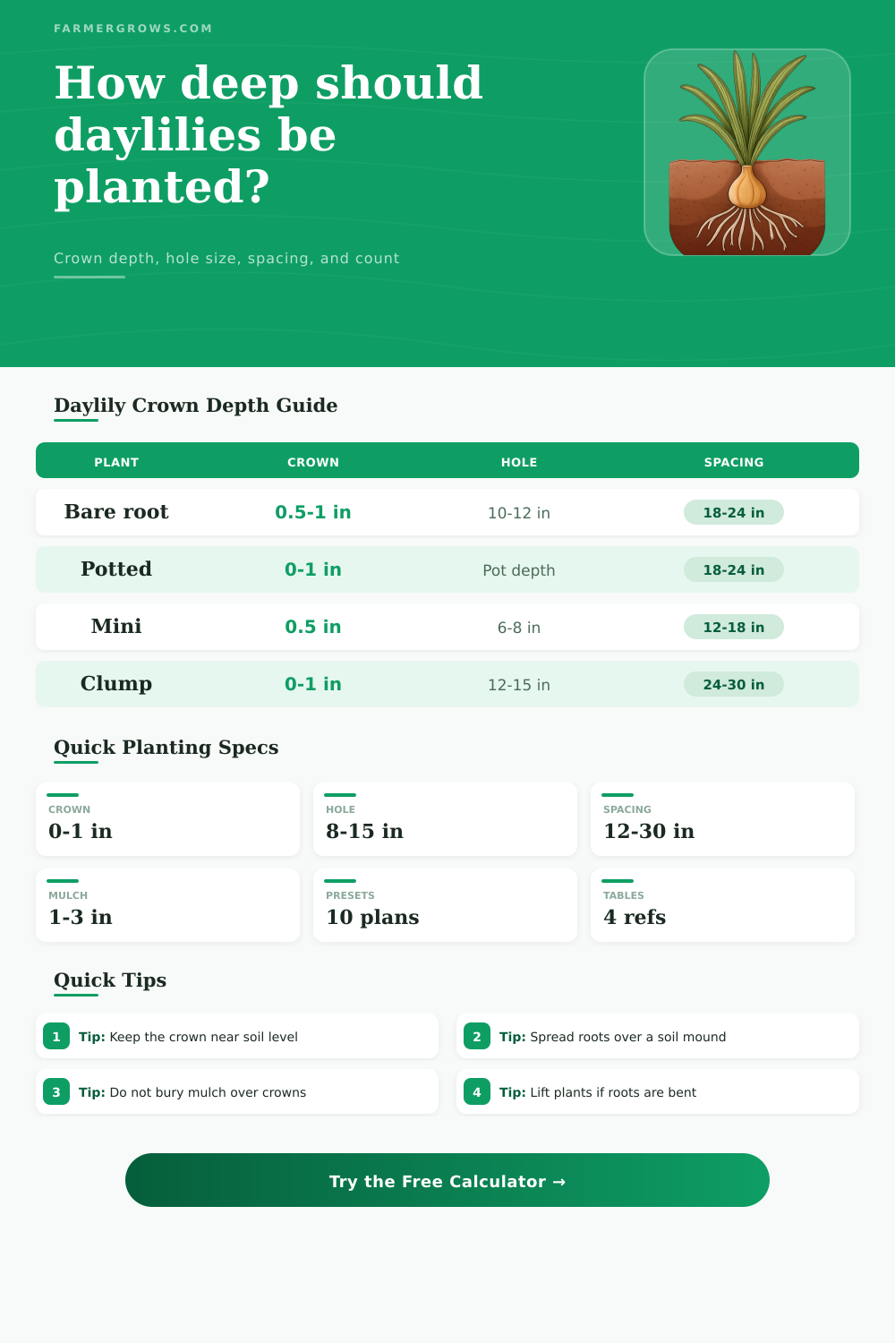 Daylily Bulb Planting Depth Calculator