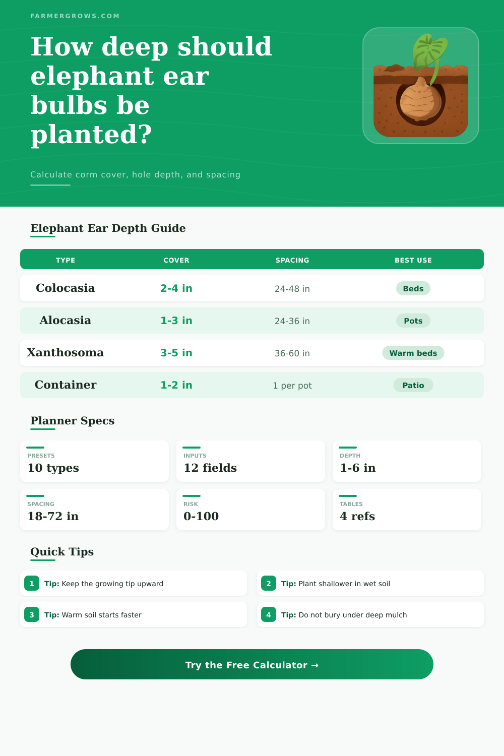Elephant Ear Bulb Planting Depth Calculator
