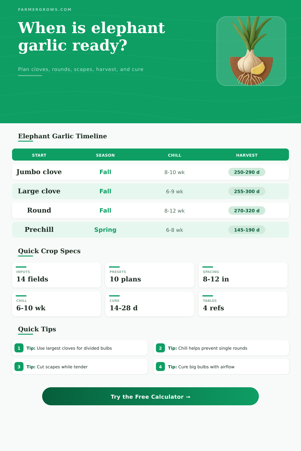 Elephant Garlic Growth Time Calculator