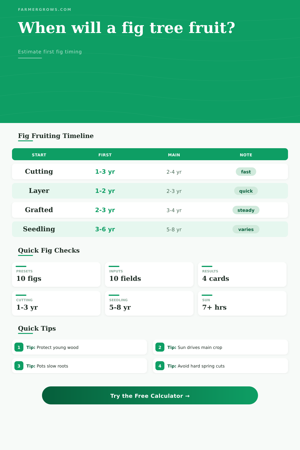 Fig Tree Time to Bear Fruit Calculator