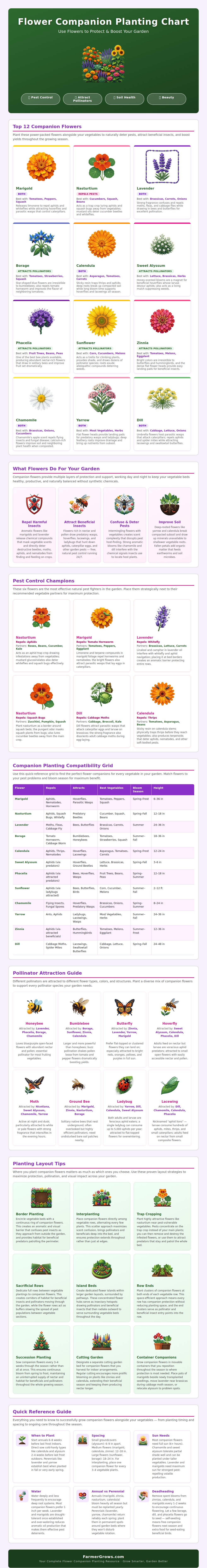 Flower Companion Planting Chart