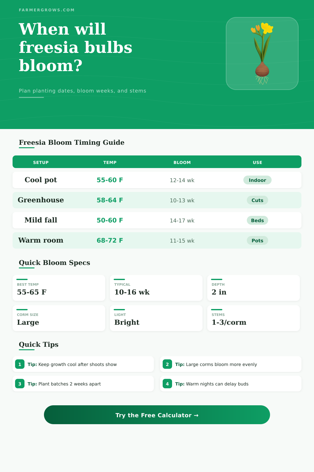 Freesia Bulb Bloom Time Calculator