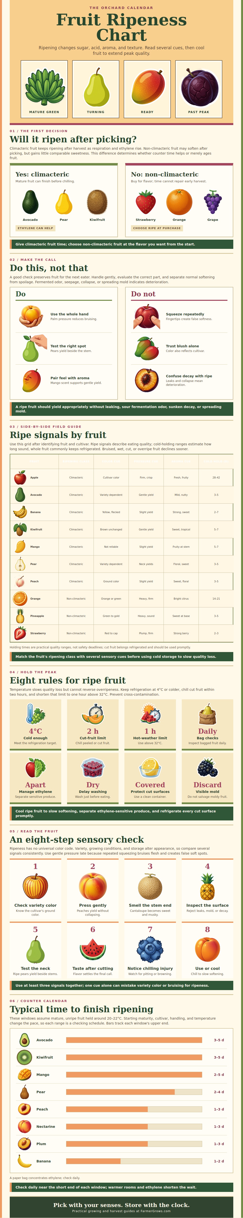 Fruit Ripeness Chart