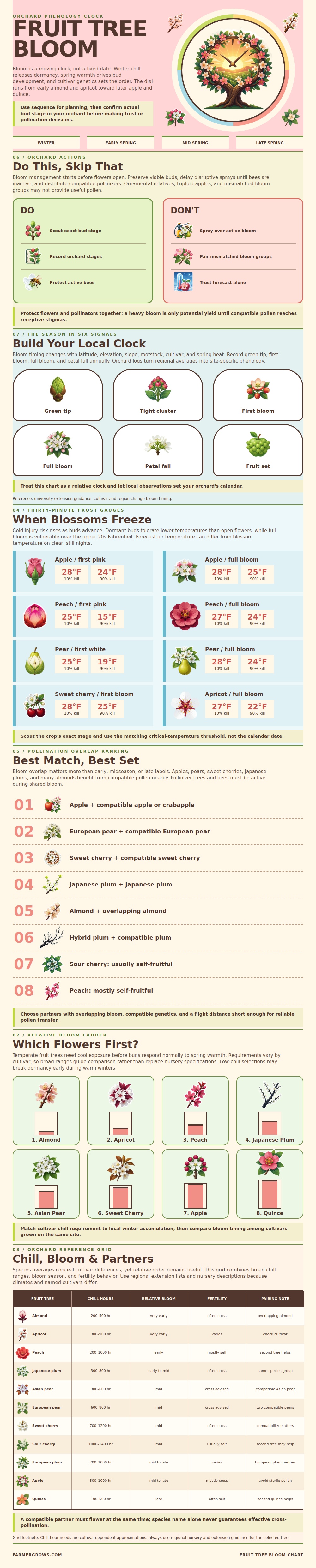 Fruit Tree Bloom Chart