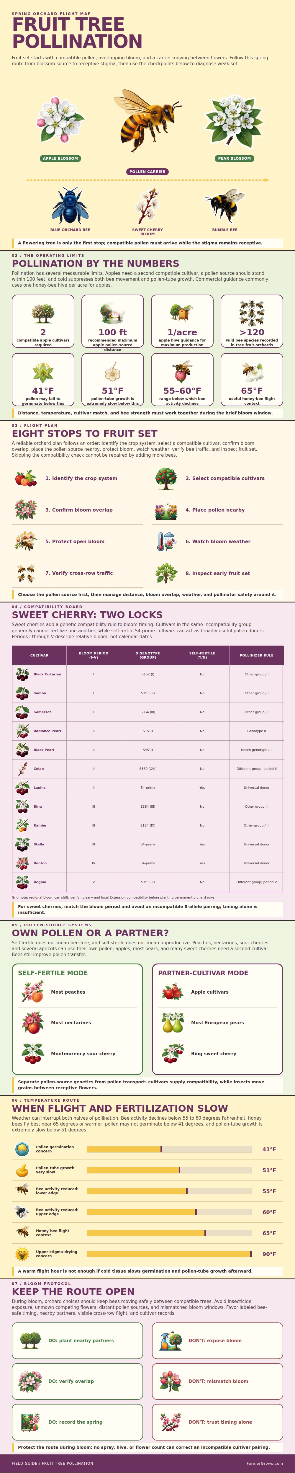 Fruit Tree Pollination Chart