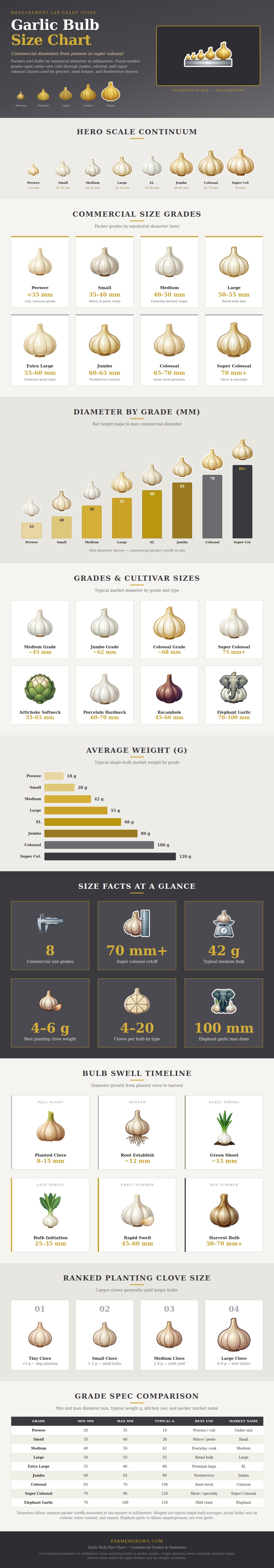 Garlic Bulb Size Chart