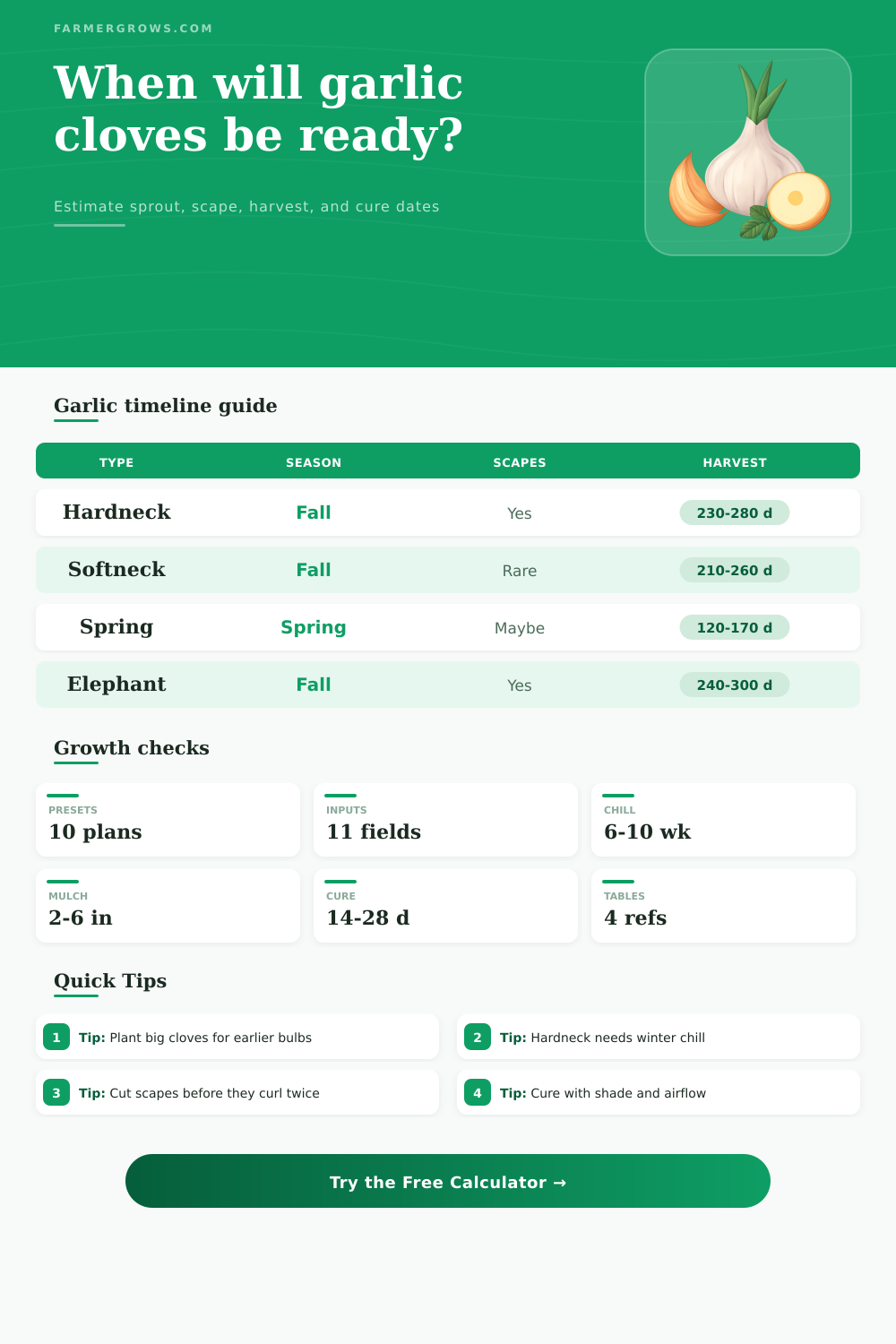 Garlic From Clove Growth Time Calculator