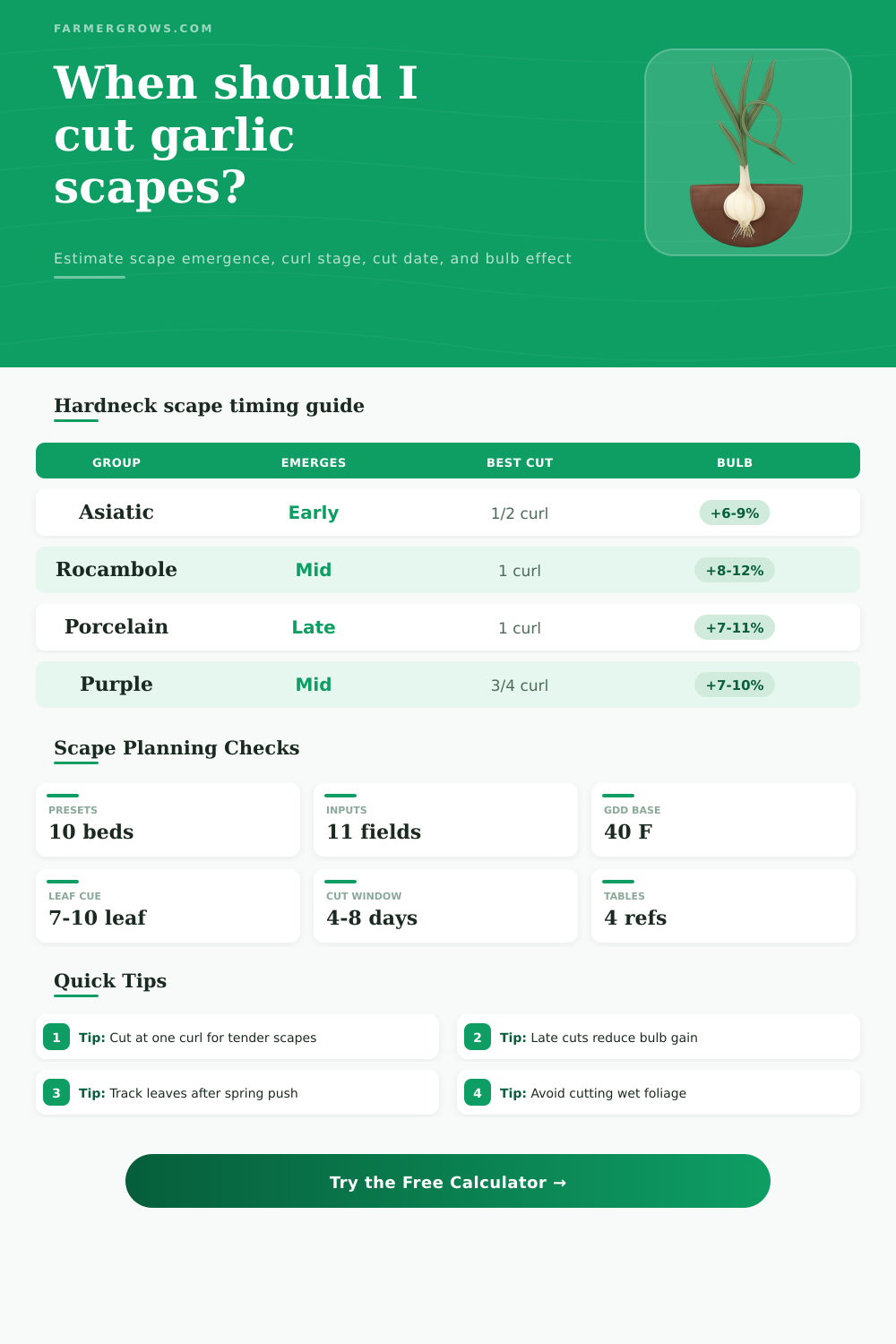 Garlic Scape Growth Time Calculator