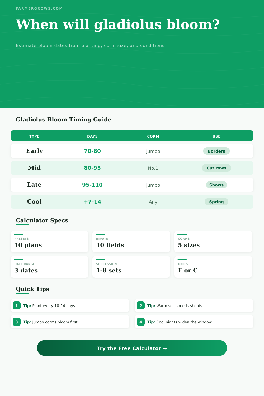 Gladiolus Bloom Time Calculator