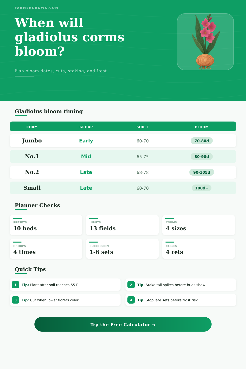 Gladiolus Bulb Bloom Time Calculator