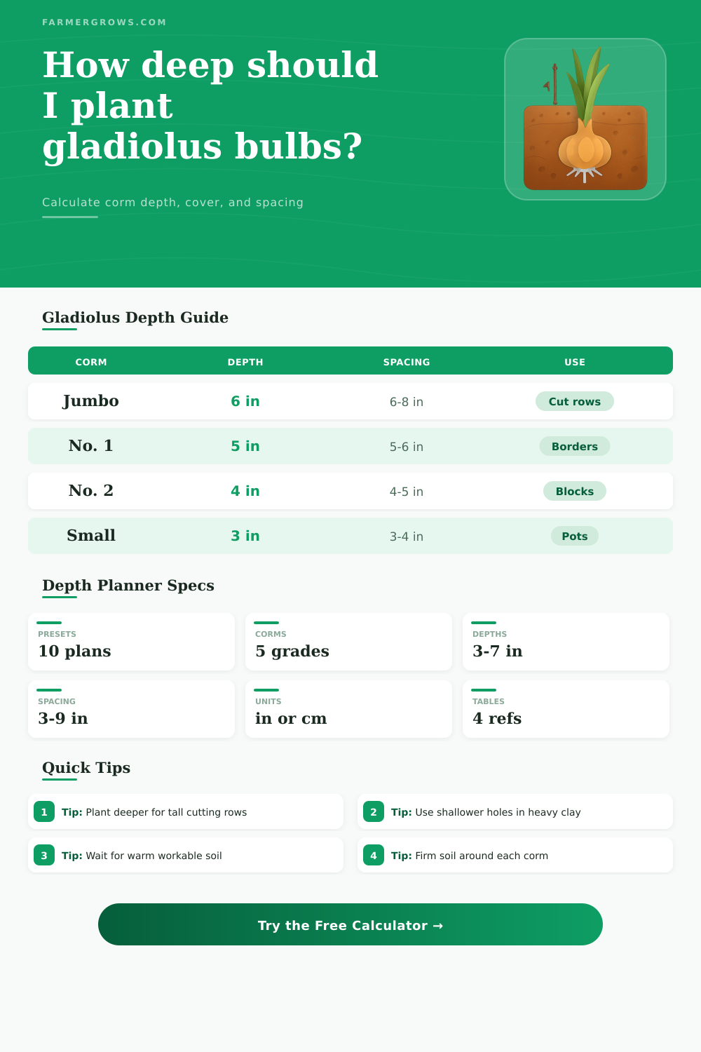 Gladiolus Bulb Planting Depth Calculator