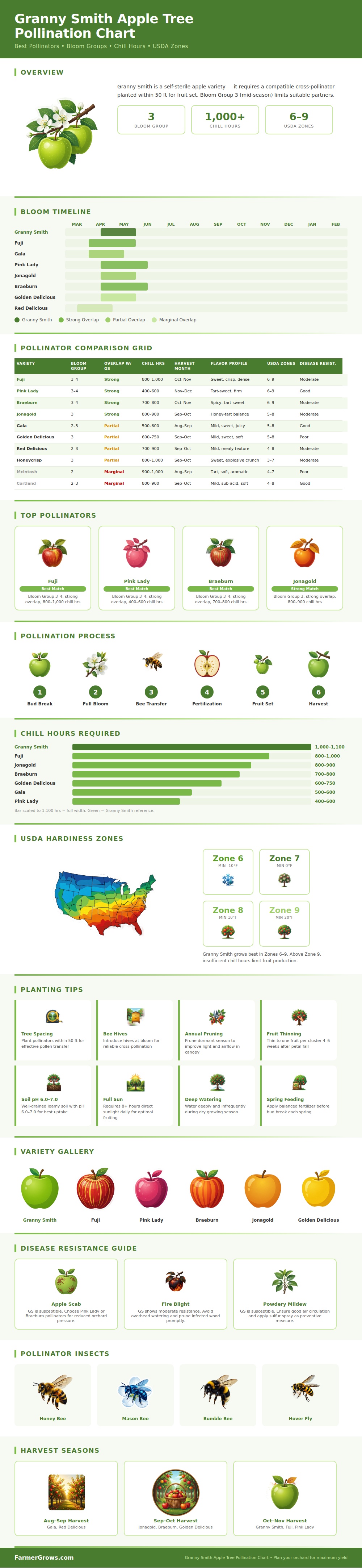 Granny Smith Apple Tree Pollination Chart